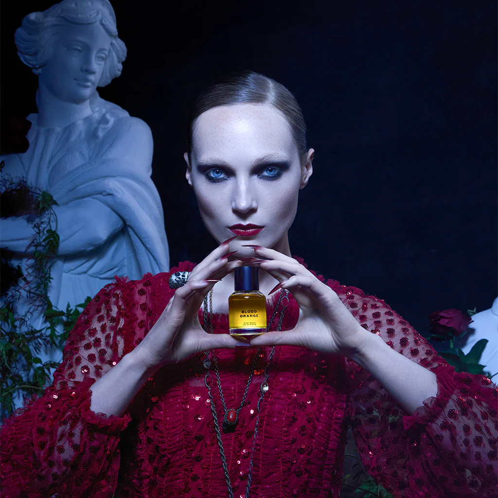 BLOOD ORANGE - Image 5