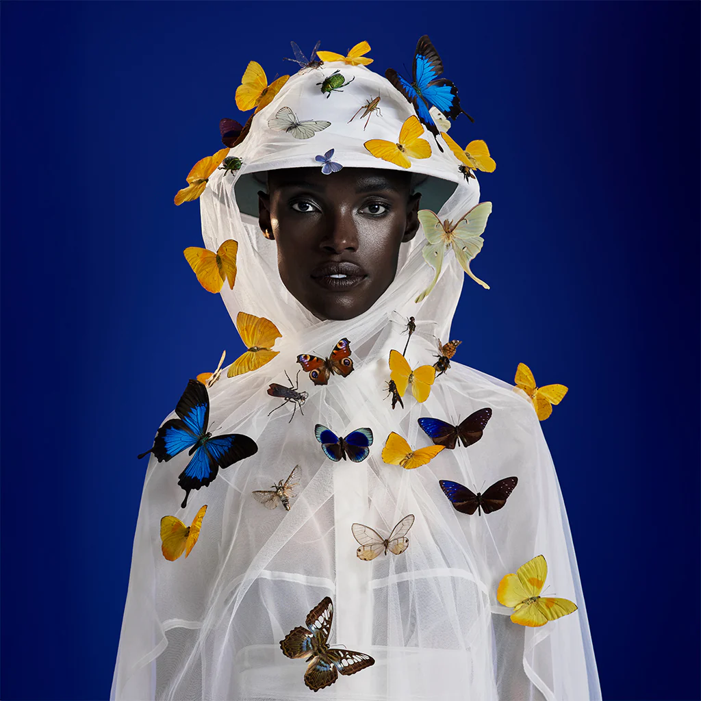 THE ENTOMOLOGIST CANDLE - Image 6