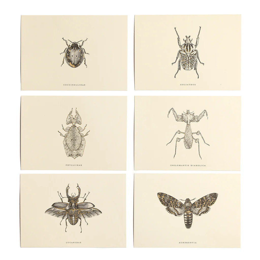 ENTOMOLOGIST CORRESPONDENCE SET - Image 3